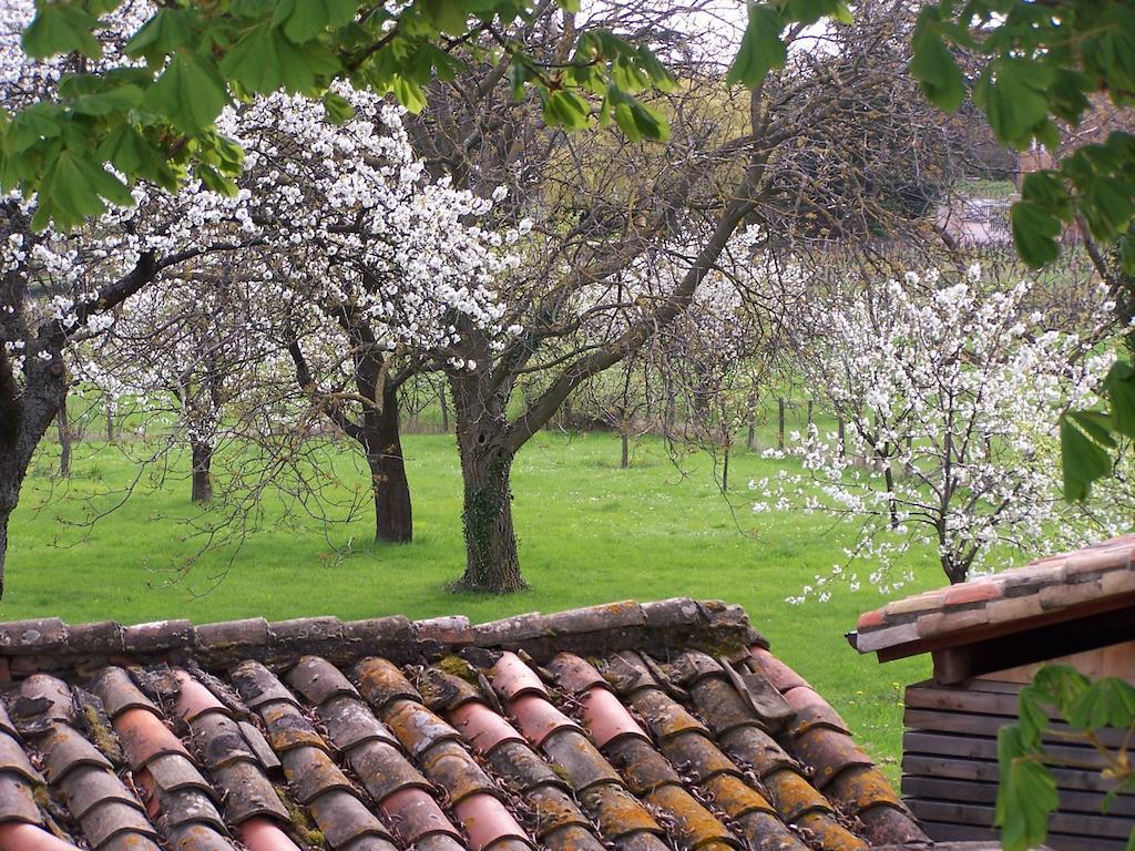 Penzion Clos De Pomeir Pommiers  Exteriér fotografie